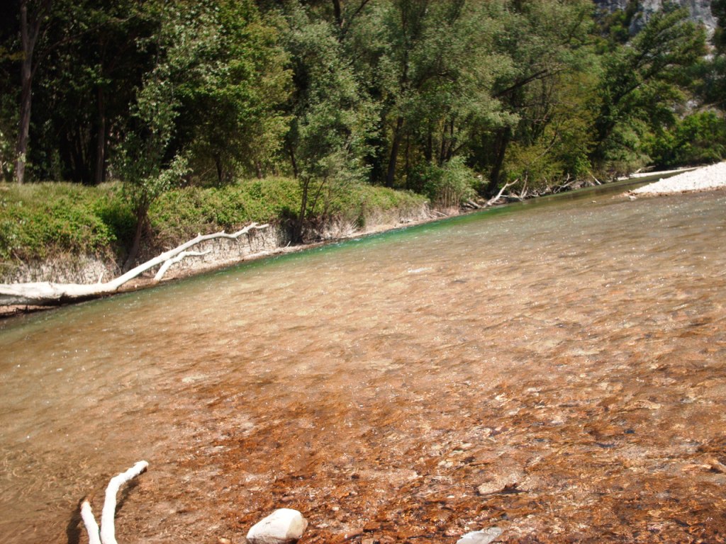 Riserva Naturale Statale Gola del Furlo.